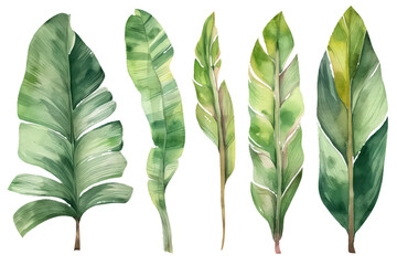 set watercolor of green leaves, isolated on a white background, AI Generative AI