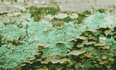 Mushroom Log Vector