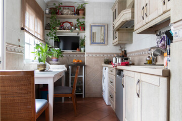 A current and bright kitchen, decorated with plants. Lifestyle concept.