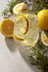 Cocktail Gin-tonic with ice, lemon, and juniper branches.