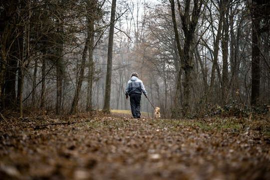 Senior man walking his dog in a forest