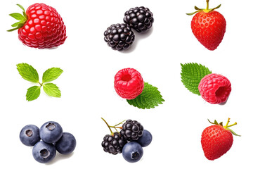 Fototapeta na wymiar Various berries, wild berries seeds set, collection, generative AI, Transparent background
