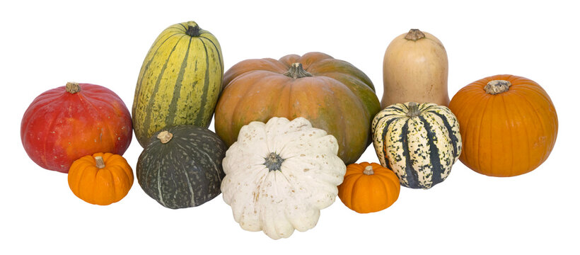 Diff&eacute;rentes vari&eacute;t&eacute;s de courges &agrave; consommer	