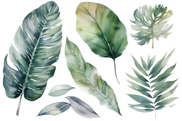 Set of Tropical leaves isolated on white background. AI Generative AI