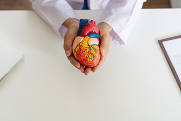 Heart transplantation concept, Doctor hold heart model at clinic.