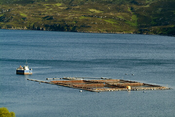 Pécherie, elevage; Saumon; Iles Shetland, Ecosse; Grande Bretagne
