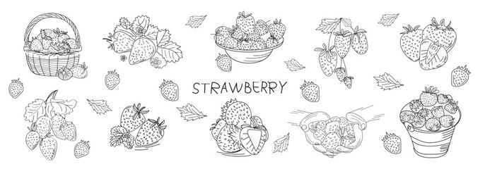 Drawing of wild berries. Hand drawn vintage vector frame. Summer fruit set of strawberries. Detailed organic food template for menu, jam label, tea banner