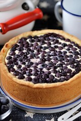 Homemade blueberry cheesecake with cottage cheese and sour cream.