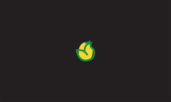 Vector of egg with chicken inside
