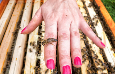 Fototapety na wymiar - Fototapeta24.pl