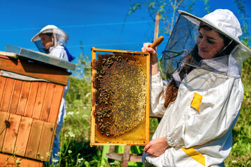 Honeycomb and beekeepers