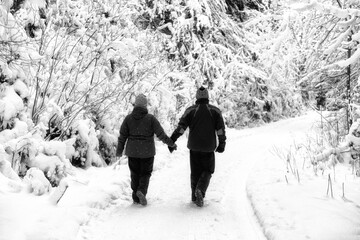 Seniors walking in snowy nature
