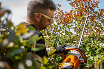 Man holding hedge trimmer in his hands. Bush pruning work. Gardening and cutting activities. Professional gardener holding with cordless electric hedge trimmer.