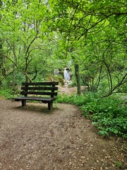 bench in the park