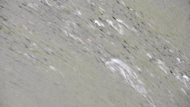 The water flows through the concrete weir with the gentle sound of water flowing and the beautiful singing of birds. Create a peaceful atmosphere filled with the beauty of nature.close up. slow motion