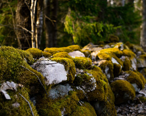 Mossy stones