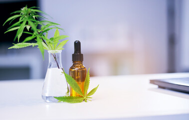 Marijuana leaves, CBD oil and lab table for medical research, pharma study and development for...