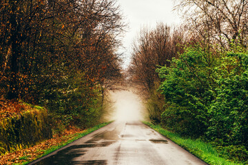 Obraz premium OLYMPUS DIGITAL CAMERA