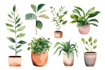 Obraz premium Watercolor of minimal Green Houseplant tree isolated on clear png background, elements natural botanical, leaves, flowers and herbs, set of tree plant collection, with Generative Ai.