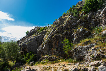 stony land in spring