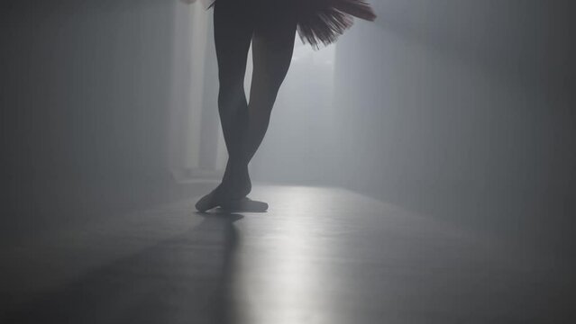 Enchanting Ballet: Exploring the Art of Dance Through the Eyes of a Ballerina. High quality 4k footage