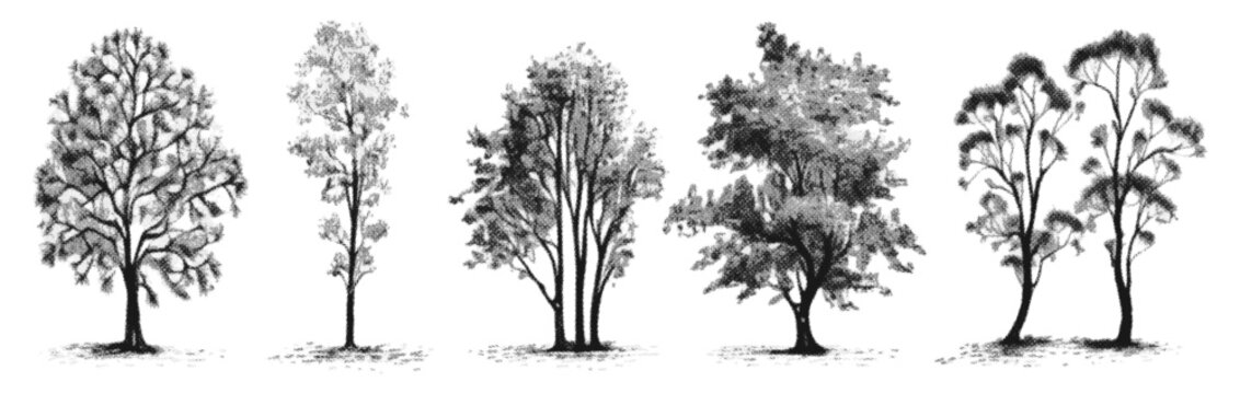 Set of hand drawn halftone trees. Vector design elements.