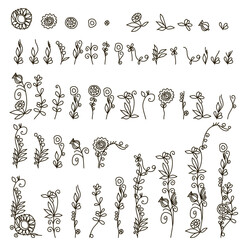 Flower graphic design. Vector set of floral elements with hand drawn flowers.