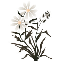 Flower graphic design. Vector hand drawn Chamomiles.