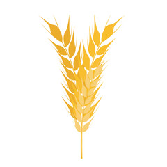 Collection of golden ripe spikelets of wheat. Agricultural symbol, flour production. Vector silhouette of wheat.