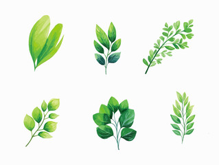 elements Leaves and branches in vectors: A graphic representation of nature