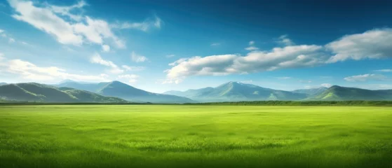 Foto op Plexiglas anti-reflex Panoramic natural landscape with green grass field, blue sky with clouds and and mountains in background. Panorama summer spring meadow. Shallow depth of field © Eli Berr