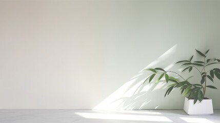 Minimalistic light background with blurred foliage shadow and plant on a light wall. Beautiful background for presentation
