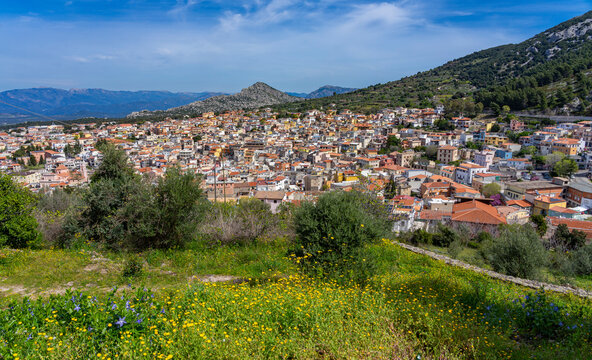 Wanderurlaub auf Sardinien, Italien: Wandern im Osten der Insel bei Dorgali - Stadtpanorama im Frühling mit gelben Blumen