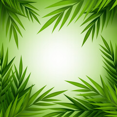 Fototapeta na wymiar Tropical palm tree background.