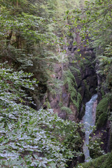 The vibrant greenery that adorns the cliffs serves as a striking contrast to the river that meanders through the ravine in Partnachklamm Germany