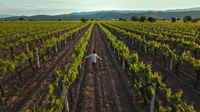 agriculture of the future. next generations and agriculture theme. boy running through the vineyards