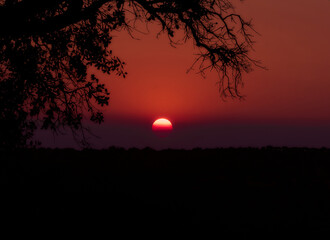 atardecer campestre