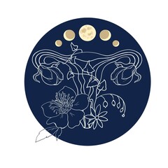 Female reproductive organs, uterus and ovaries with flowers and moon in different phases. Color illustration on the theme of the female cycle. Lunar calendar against the background of the night sky.