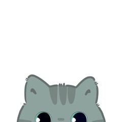 Kitty grey cat with cute ears and big eyes half face illustration 