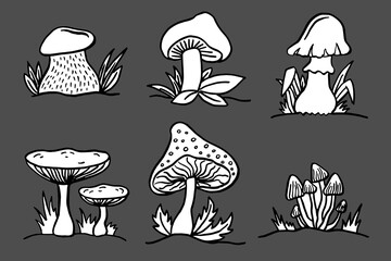 Mushroom set of vector illustrations isolated on grey. Cartoon style.