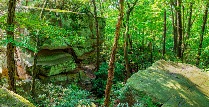 A beautiful forest view of large rock formations and trees.