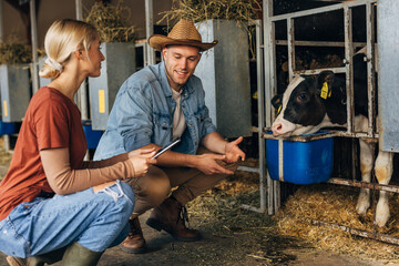 Farmer and a female inspector talk in the stall with cows.