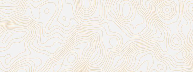 Abstract wave curved lines topographic contours map background. Abstract geographic wavy and curve grid lines map background.