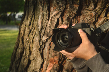 Fototapeta premium camera hidden behind a tree