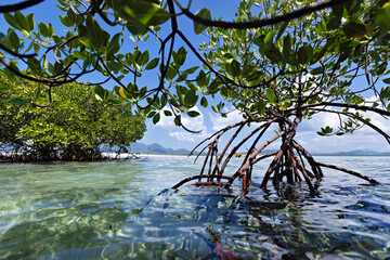 Philippines, Palawan. Honda Bay