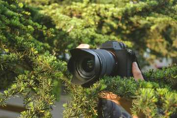 hidden camera in green nature