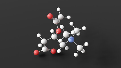 acetylcarnitine molecule, molecular structure, acetyl-l-carnitine, ball and stick 3d model, structural chemical formula with colored atoms