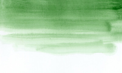 Bright painted green watercolor texture. Hand drawn background