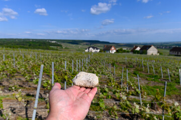 White chalk soil on of premier cru champagne vineyards in village Hautvillers near Epernay, spring...