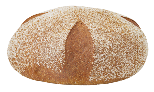 Dark round bread sprinkled with semolina, isolated on transparent background .